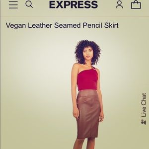 Vegan Leather skirt